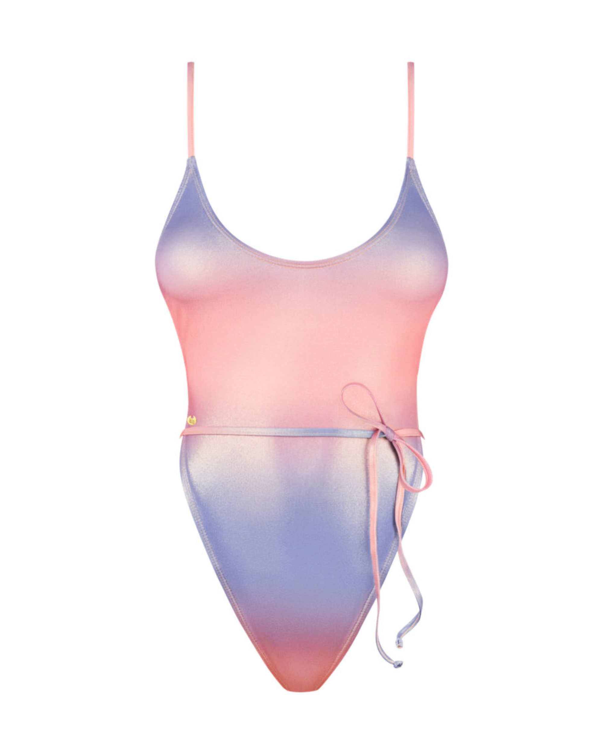 Metallic Open Back Swimsuit